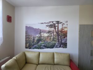 Druk ścienny wykonany przez firmę ŚCIANA WOW w Ciechocinku. Druk przedstawia krajobraz.