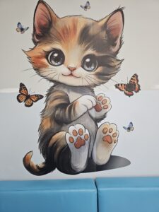 Druk ścienny wykonany przez firmę ŚCIANA WOW w szkole w Warszawie. Druk ścienny wykonany do specjalnie wyznaczonej Strefy Ciszy w szkole. Grafika przedstawia kota. 