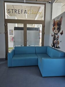 Druk ścienny wykonany przez firmę ŚCIANA WOW w szkole w Warszawie. Druk ścienny wykonany do specjalnie wyznaczonej Strefy Ciszy w szkole. 