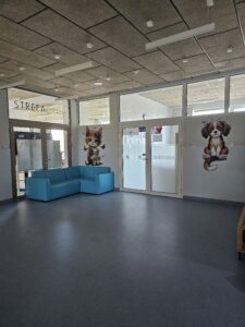 Druk ścienny wykonany przez firmę ŚCIANA WOW w szkole w Warszawie. Druk ścienny wykonany do specjalnie wyznaczonej Strefy Ciszy w szkole. 